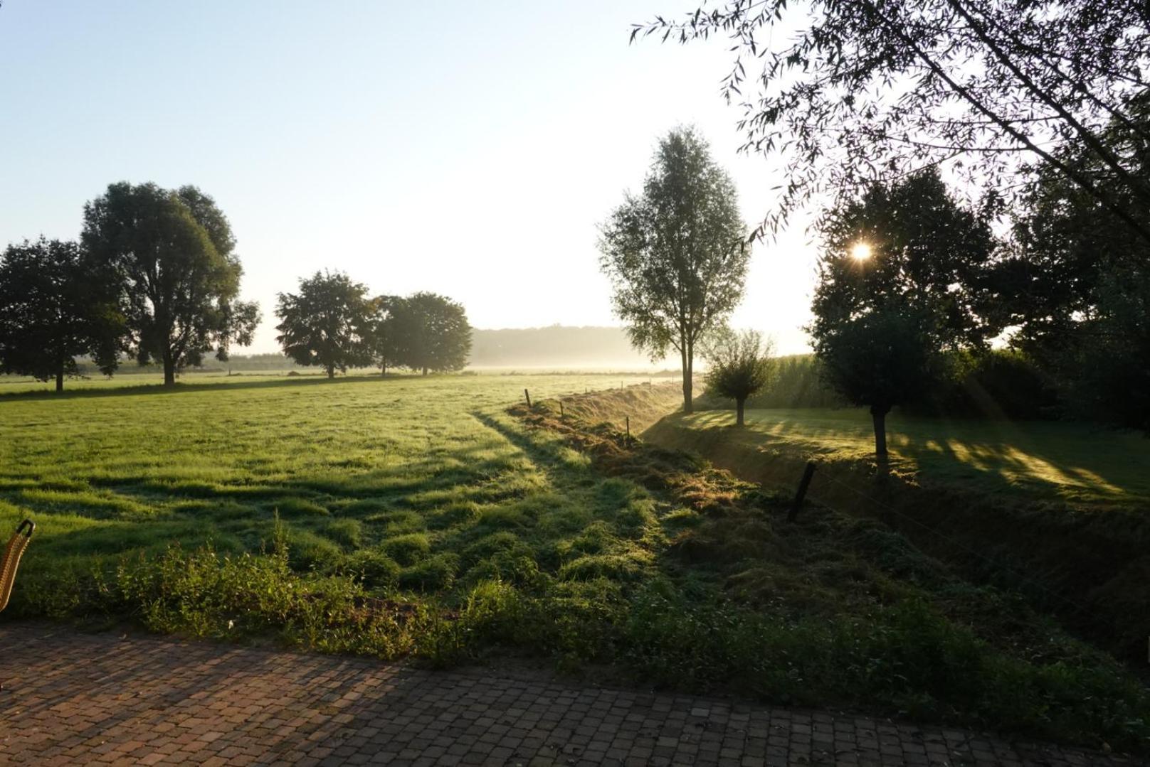 De Knotwilg Villa Loon op Zand Exterior photo